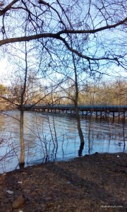 IMG_20170305_161330.jpg