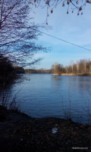 IMG_20170305_161323.jpg