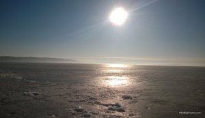 WP_20170304_021.jpg