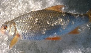 WP_20170304_048.jpg