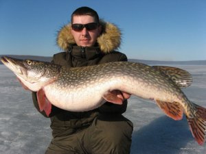 IMG_1938.JPG