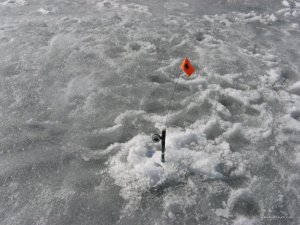 IMG_1958.JPG
