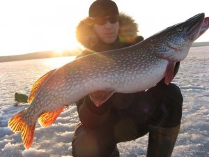 IMG_1972.JPG