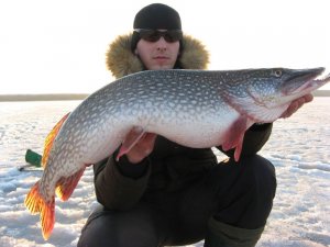IMG_1980.JPG