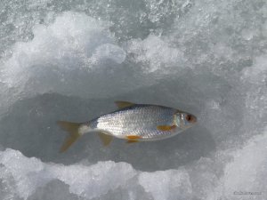 IMG_1567.JPG