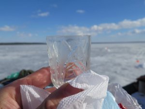 IMG_1571.JPG