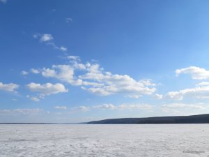 IMG_1575.JPG