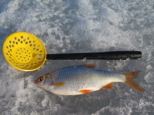 IMG_1578.JPG