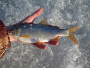 IMG_1581.JPG
