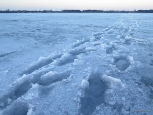 IMG_1591.JPG