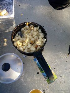 IMG_20170305_072015.jpg