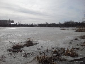 20170305104123.jpg