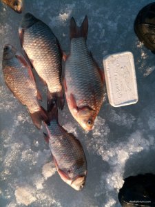 IMG_20170304_163500.jpg