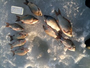 IMG_20170304_163447.jpg
