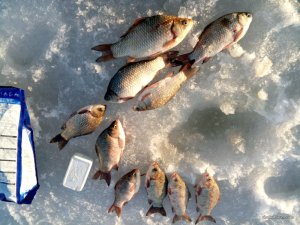 IMG_20170304_163442.jpg
