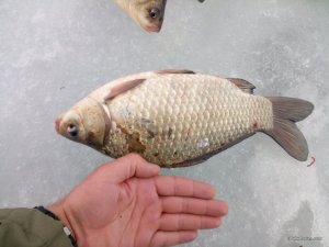 IMG_20170225_093854.jpg