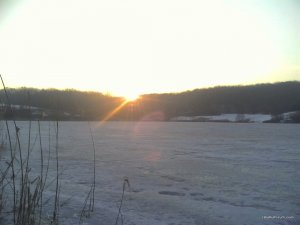 IMG_20170308_063500.jpg