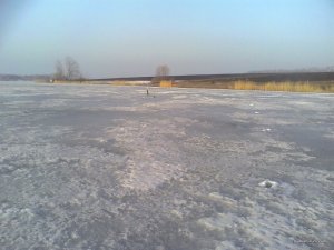 IMG_20170308_071129.jpg