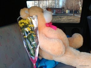 IMG_20170308_163045.jpg