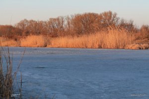 IMG_5889.JPG