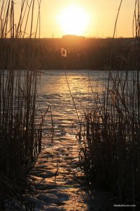 IMG_5915.JPG