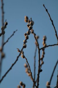IMG_5885.JPG