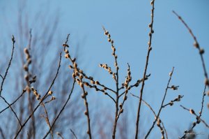 IMG_5883.JPG