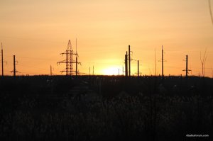 IMG_5931.JPG