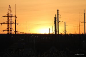 IMG_5932.JPG