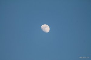 IMG_5930.JPG
