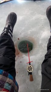 IMG_20170308_130106.jpg