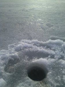 IMG_20170303_151817_1.jpg