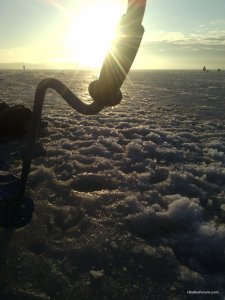 IMG_20170304_065836.jpg