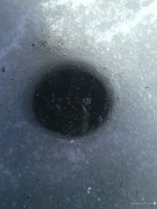 IMG_20170304_130917.jpg
