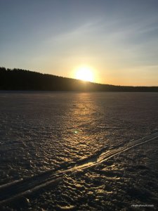 IMG_3783.JPG