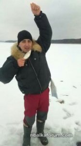 в.jpg