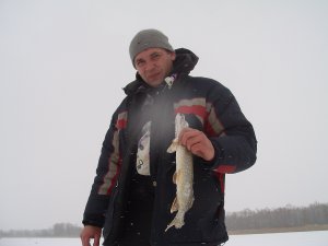 PICT0065.JPG