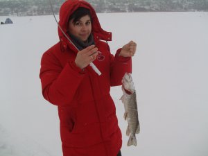 PICT0078.JPG