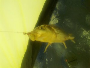 25022012056.jpg