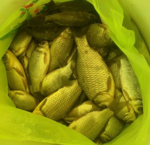 25022012058.jpg