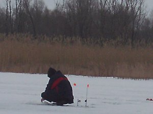PICT0008.JPG