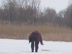 PICT0010.JPG
