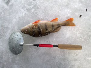 01032012061.jpg