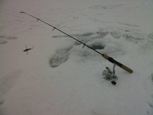 SP_A0808.jpg