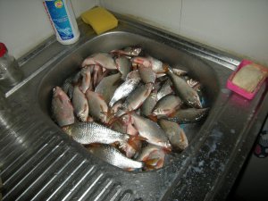 Зима 2012 246.JPG