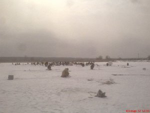 Карась начал клевать.JPG