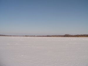 PICT0005.JPG