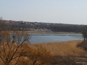 IMG_2017-03-12_132522.jpg