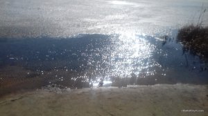 20170311_132056.jpg