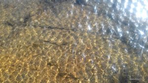 20170311_132114.jpg